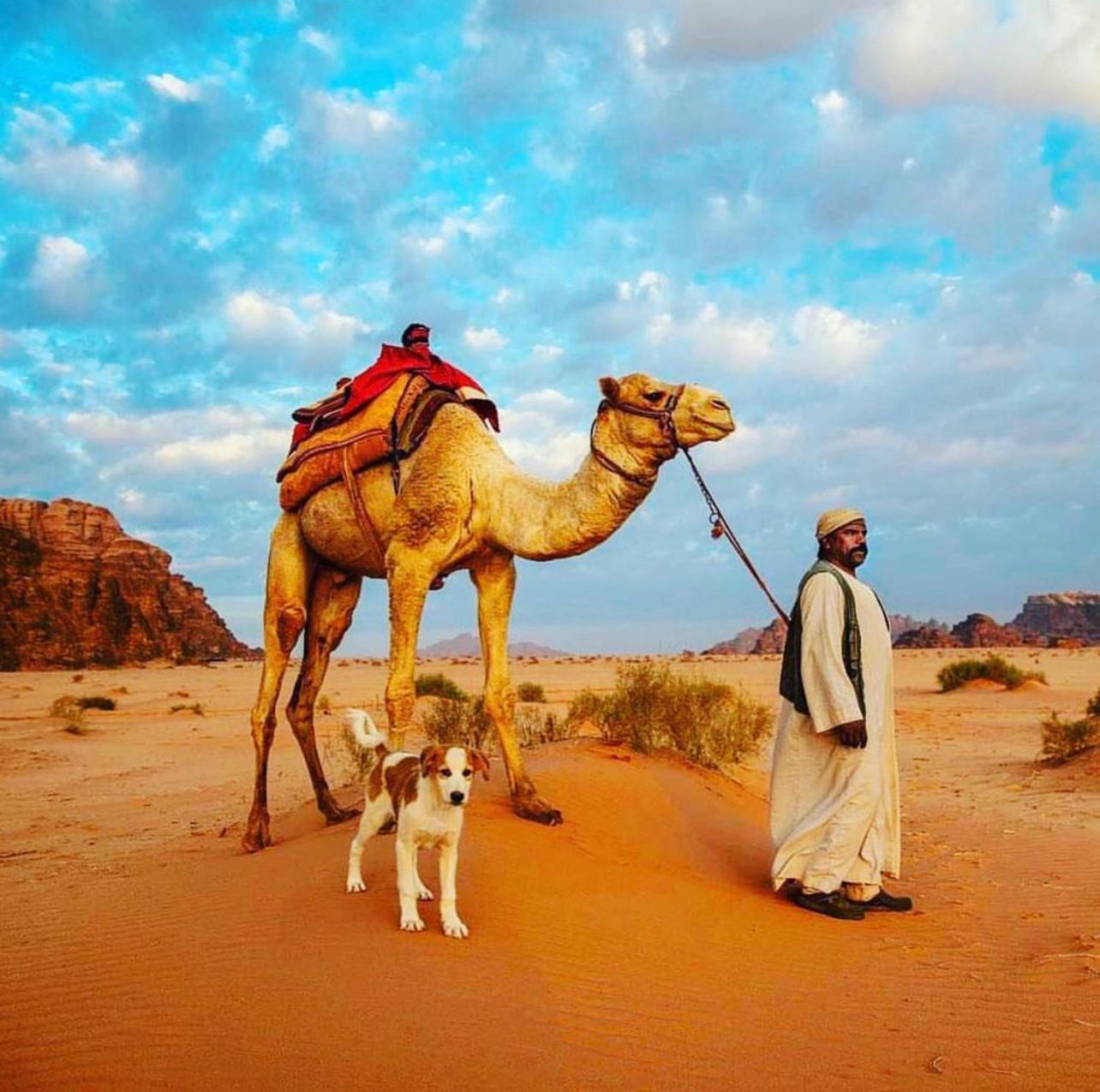 Desert Bedouin Adventure Wadi Rum Exterior foto